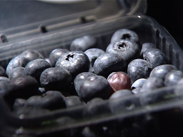 甲型肝炎個案未能證實因食藍莓所致