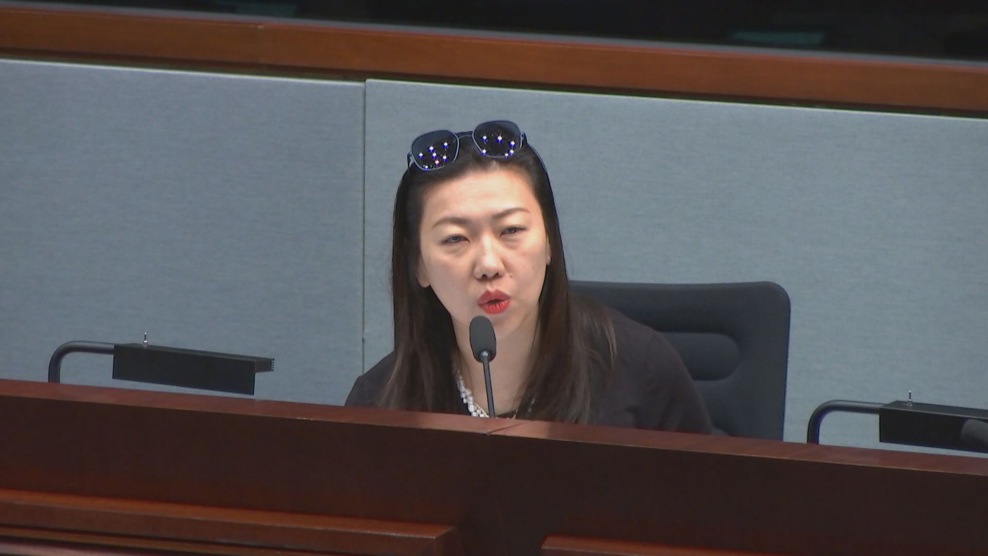有議員指「同性伴侶」字眼易令人混淆為「同性婚姻」