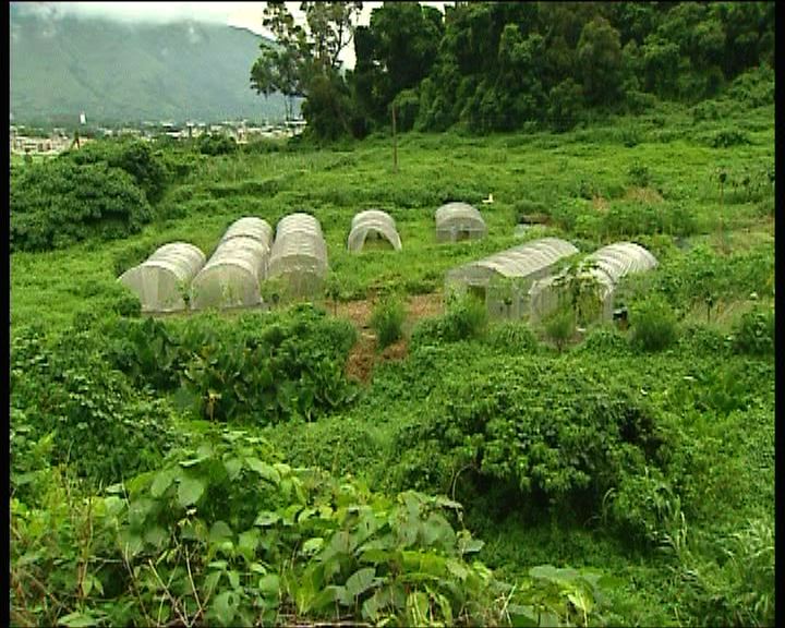 
林嘉芬短期內不再處理元朗地政