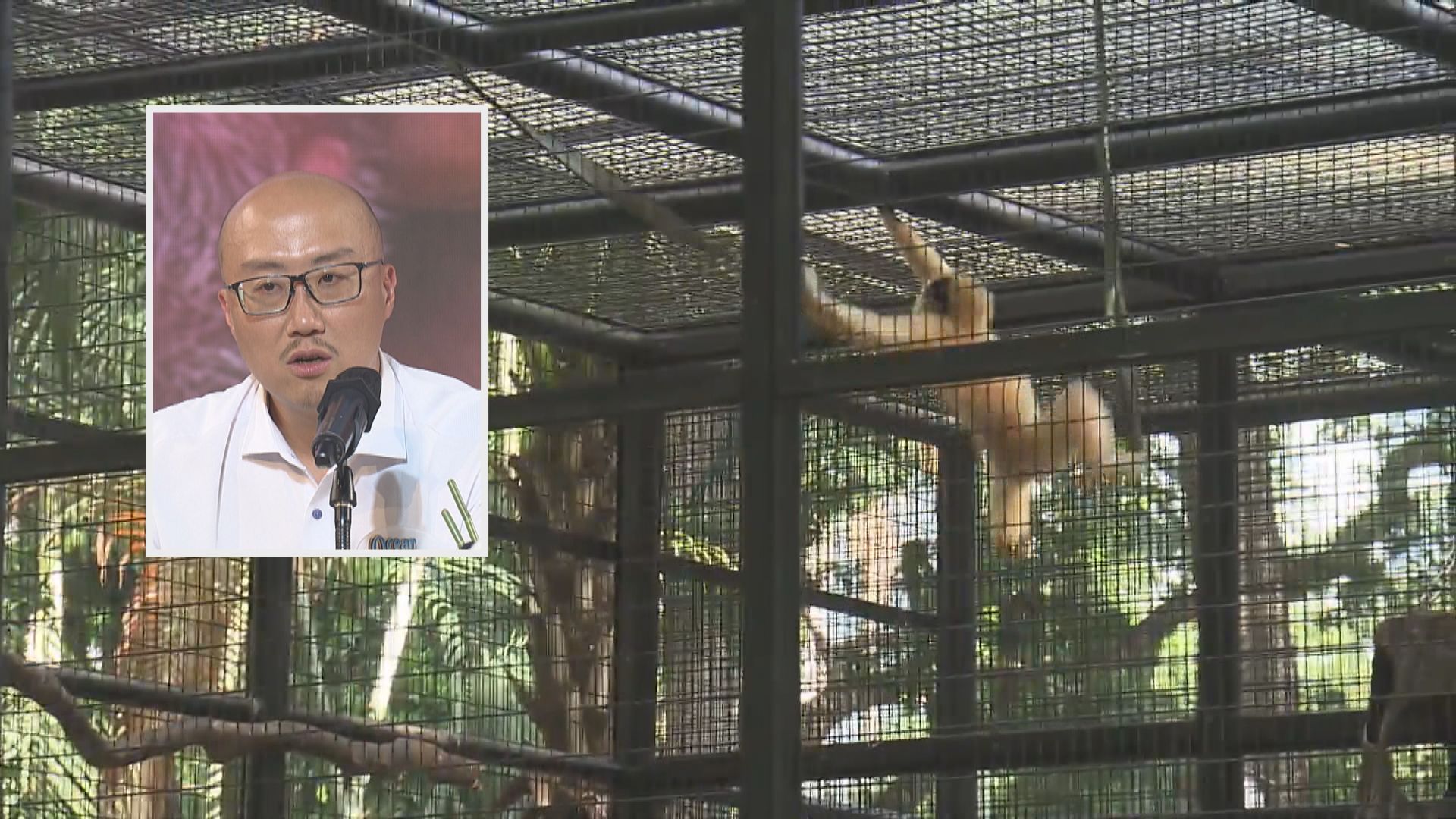 海洋公園就猴子死亡事件與動植物公園交流　就解剖結果斷症