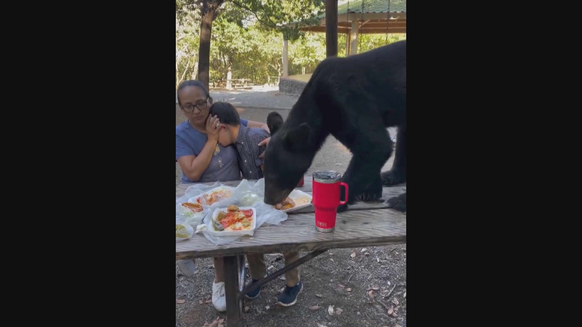 墨西哥黑熊現身家庭野餐「開餐」