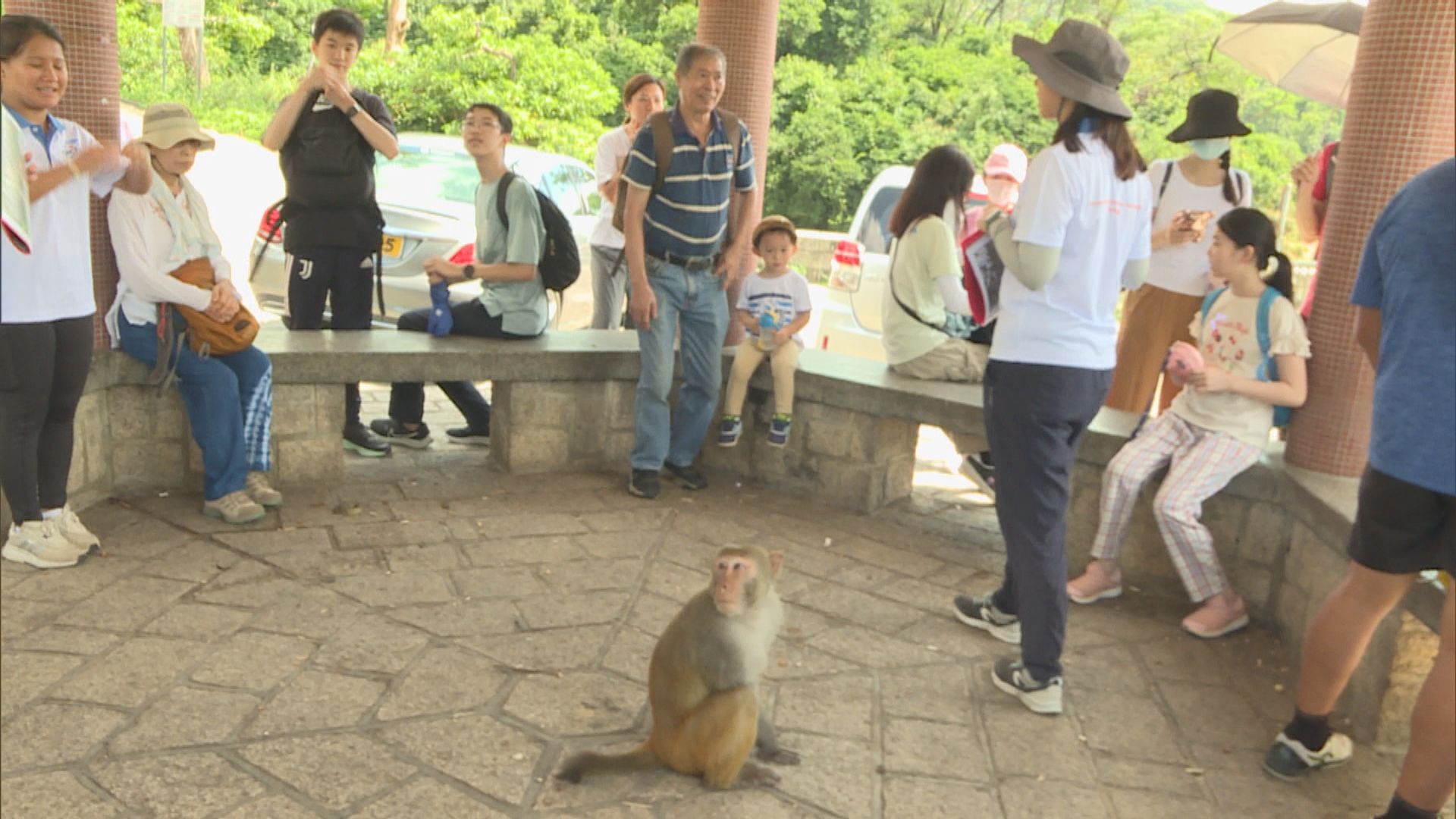保育基金舉辦導賞團 提醒市民勿餵飼猴子