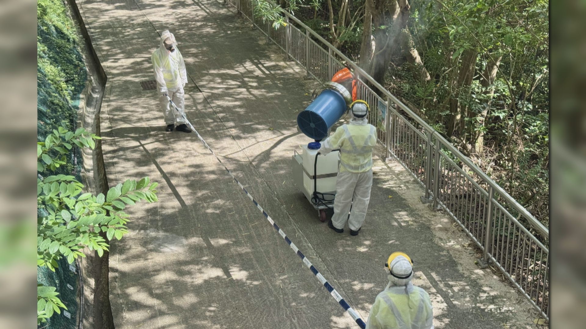 基孔肯雅熱｜本港當局加強預防　霧化殺蚊