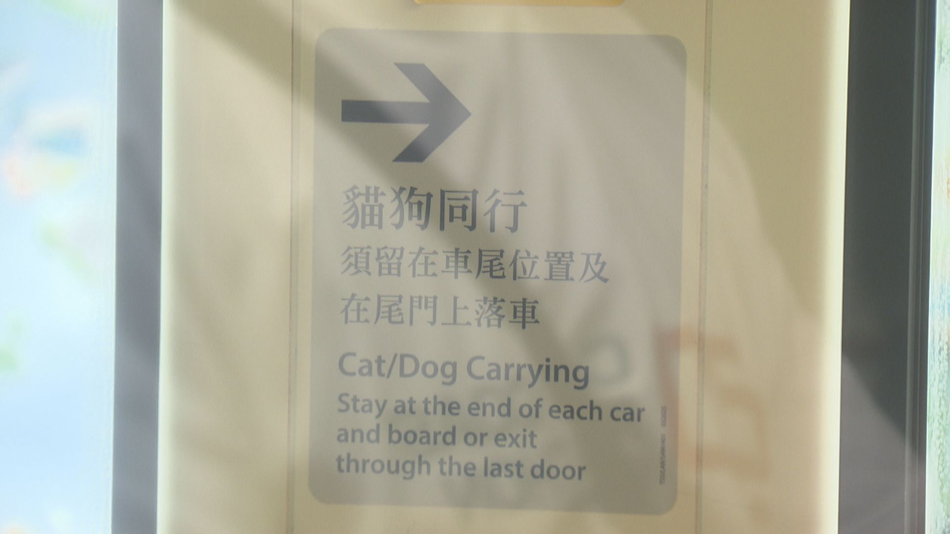 輕鐵九月起落實貓狗同行計劃