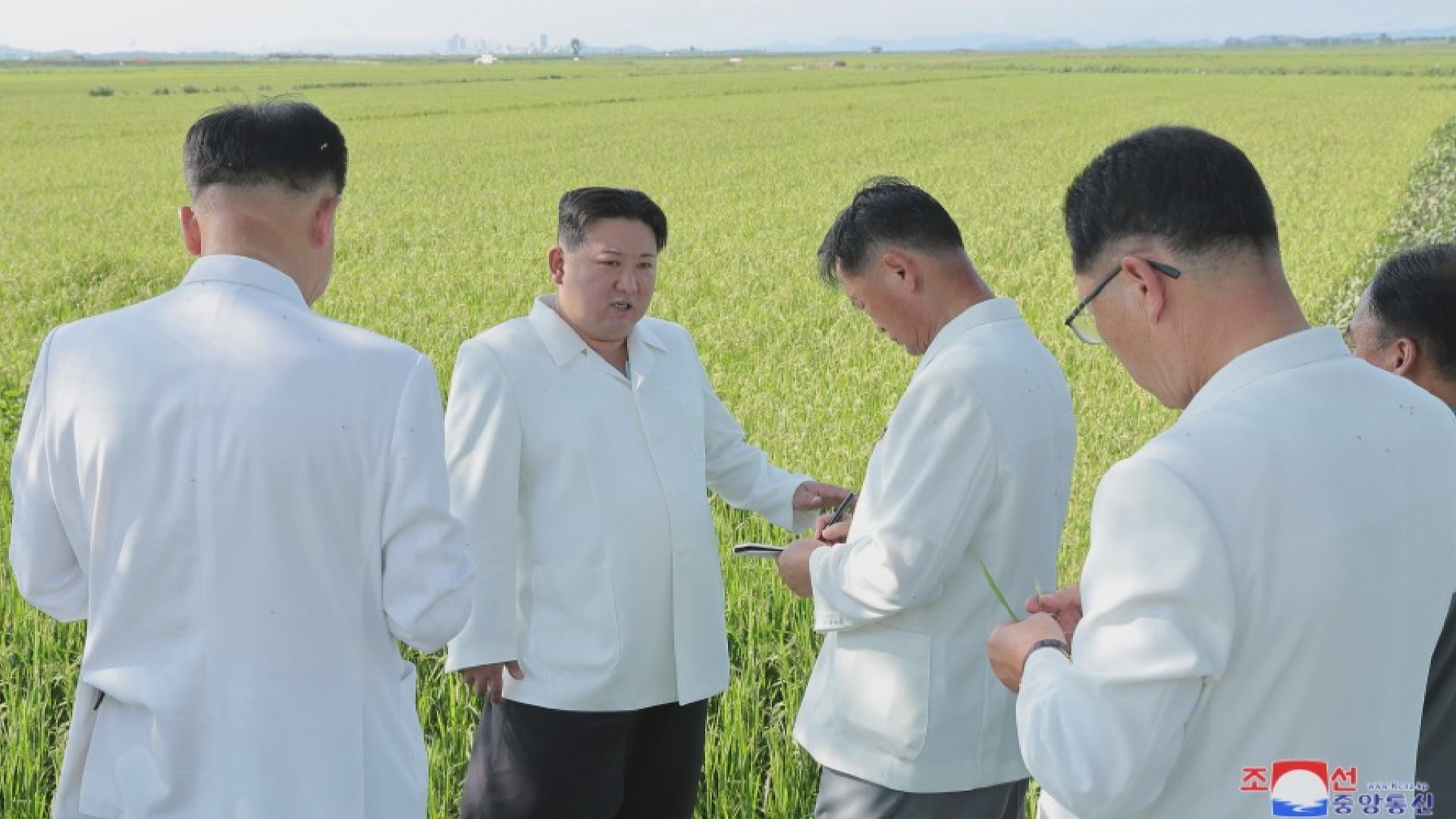 北韓領袖金正恩視察上周受卡努吹襲的農場