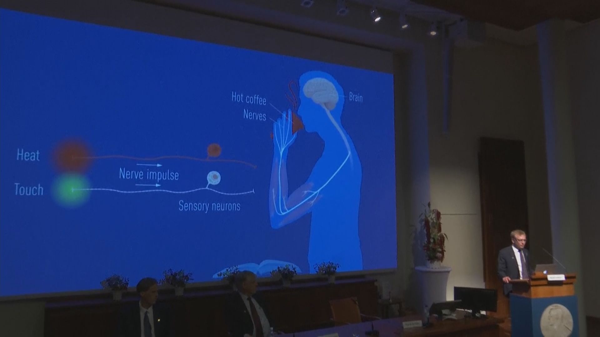 諾貝爾醫學獎兩專家共同獲獎　表揚發現人體溫度和觸覺感受器