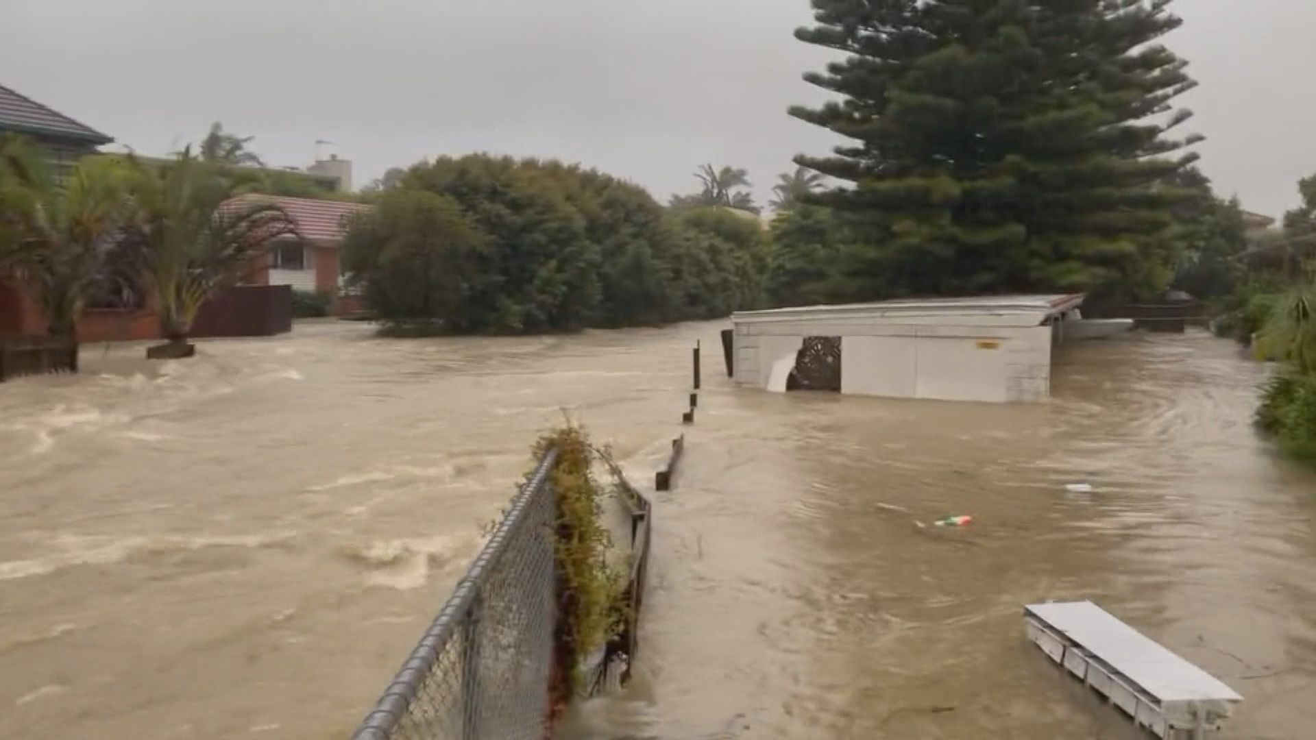 新西蘭奧克蘭暴雨成災引發水浸　陸空交通大受影響