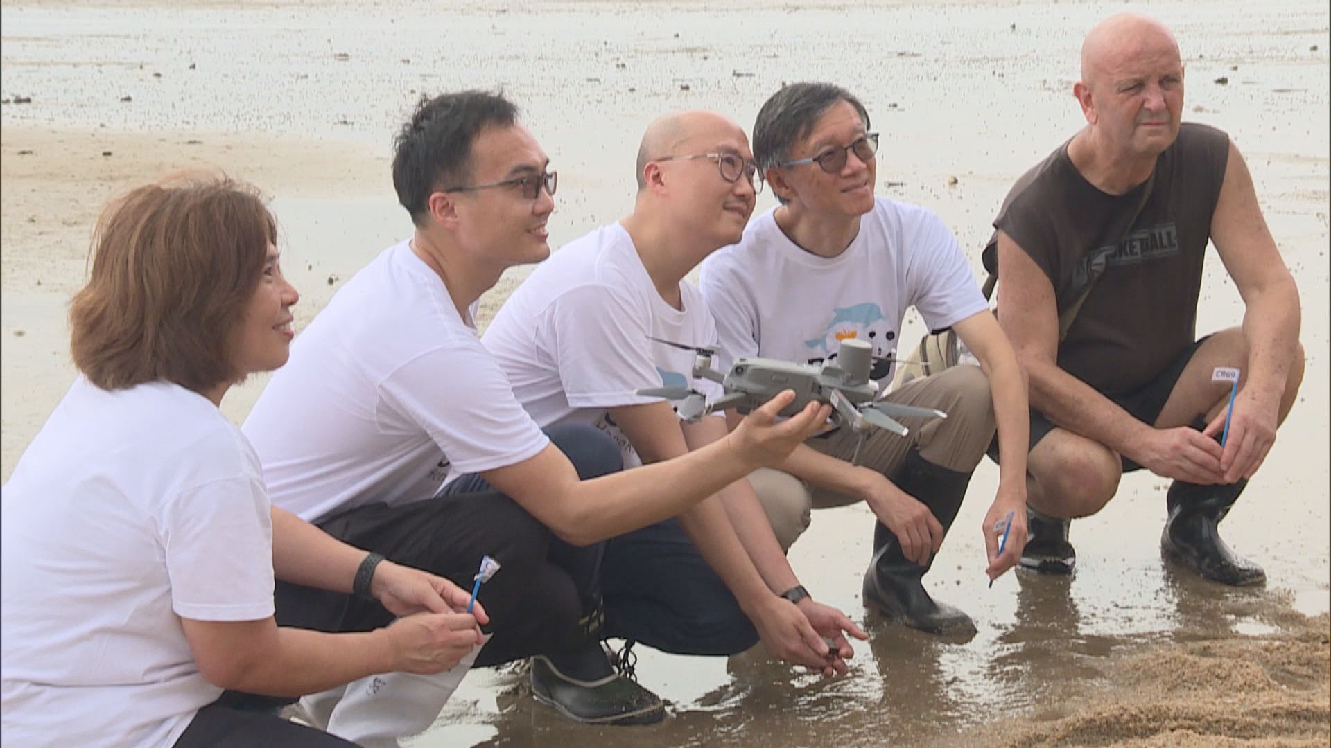 中大科研團隊以無人機拍攝 統計馬蹄蟹數量