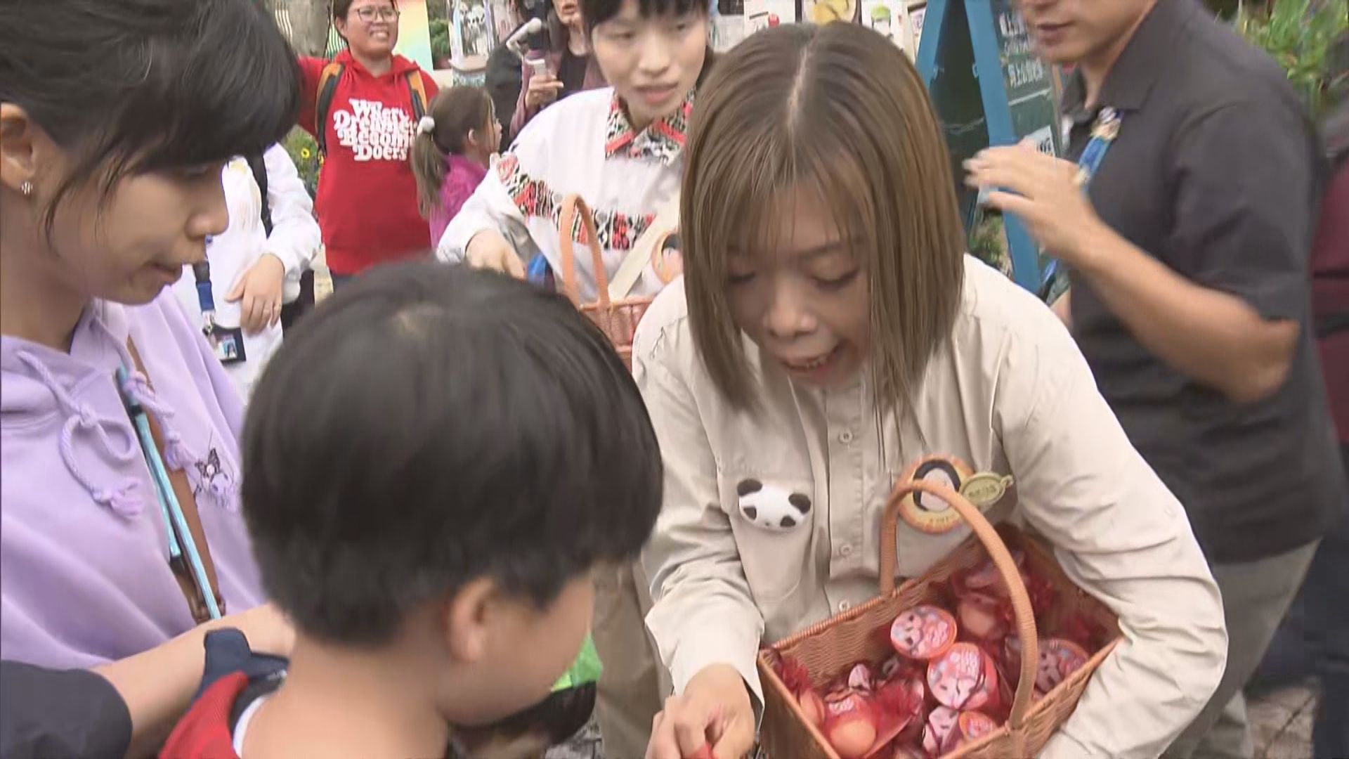 大熊貓龍鳳胎出生百日　海洋公園派紅雞蛋