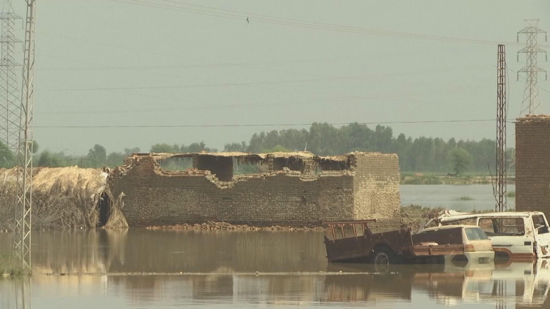 巴基斯坦水災逾一千一百人死亡　經濟損失料逾百億美元