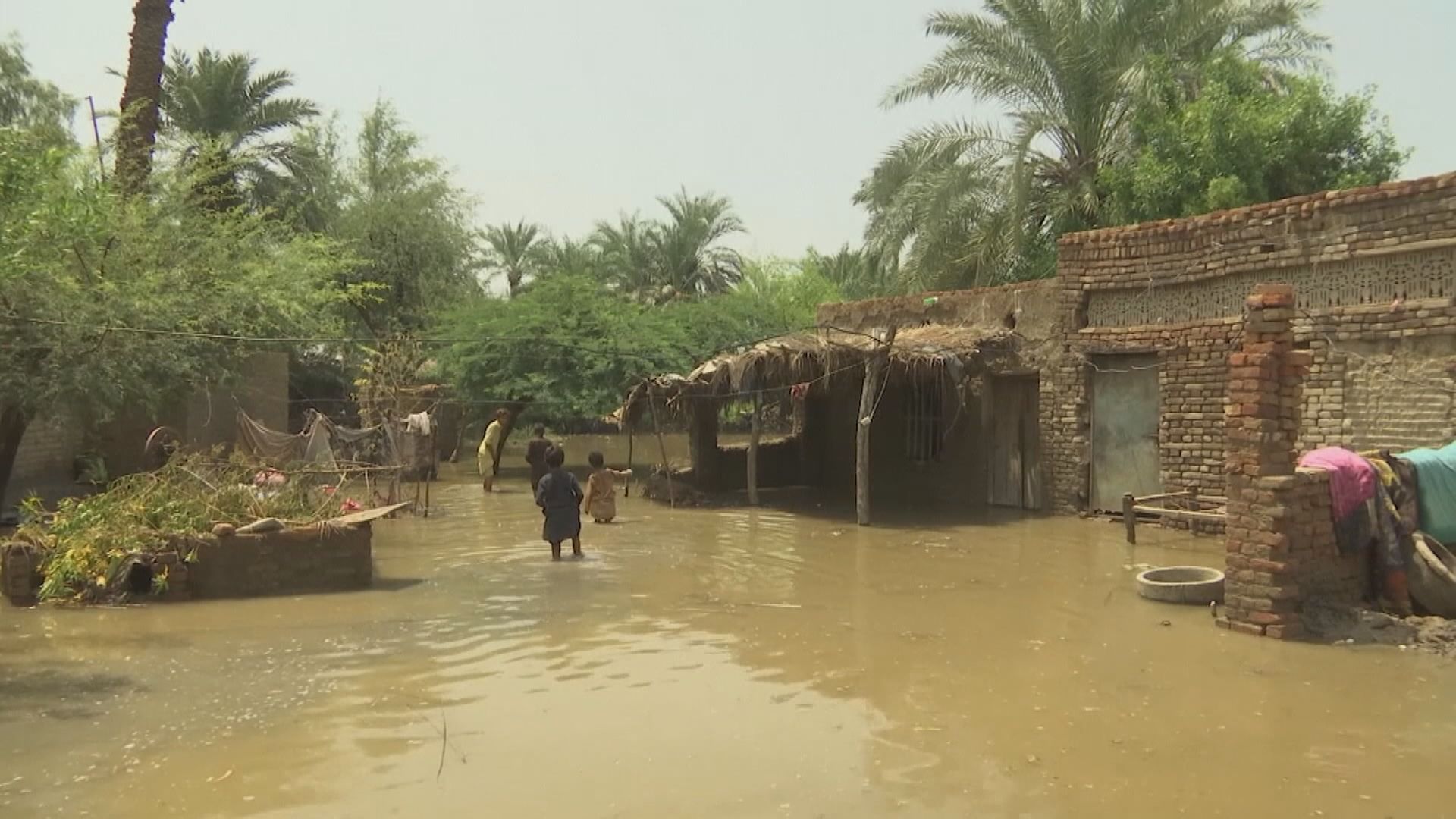 巴基斯坦水災逾一千一百人死亡　聯合國呼籲捐款1.6億美元