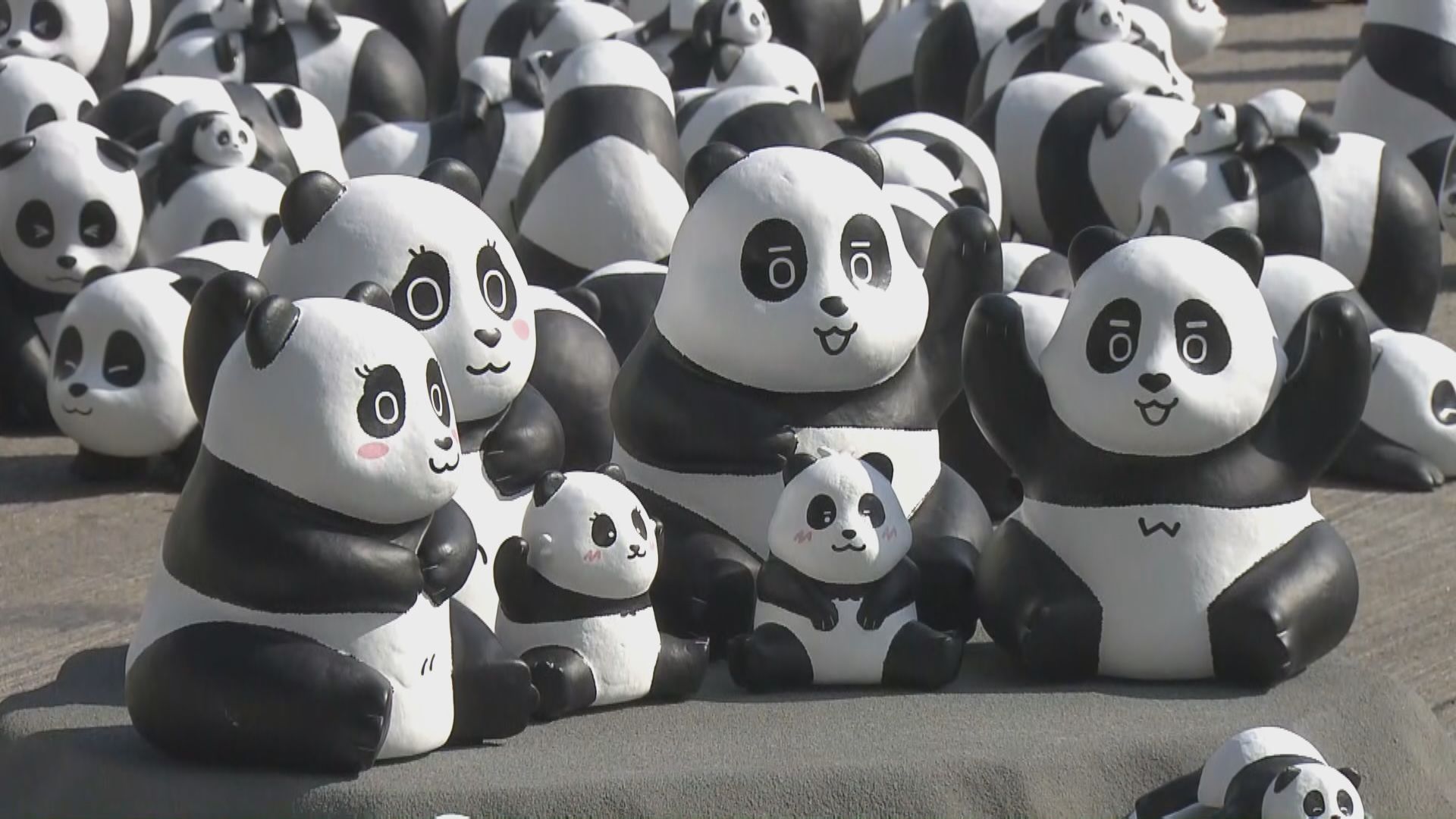 「PANDA GO香港遊」歡迎儀式　2500隻熊貓雕塑擺放機場