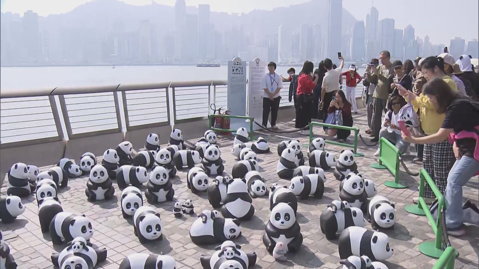 大熊貓雕塑PANDA GO本月餘三場公眾展覽