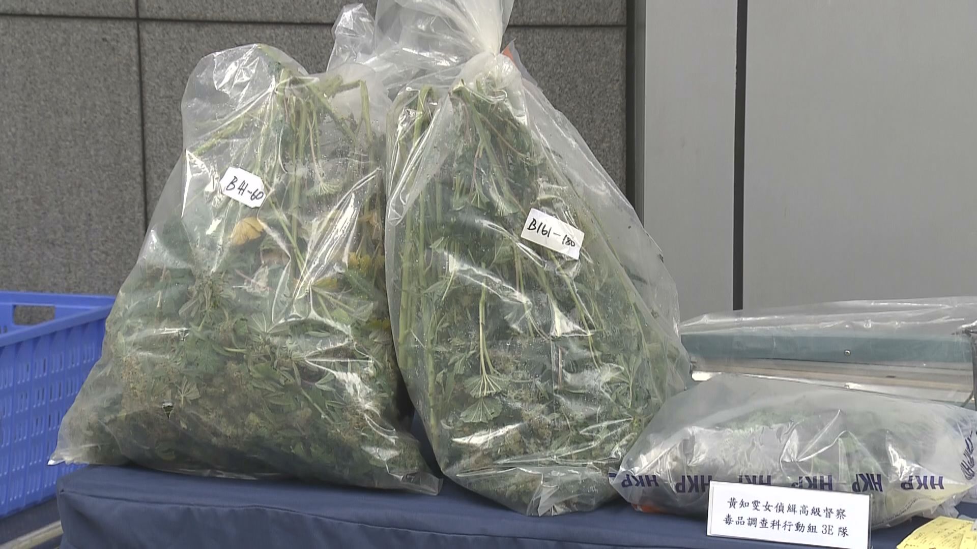 警方破獲大麻種植場檢近值三千萬大麻