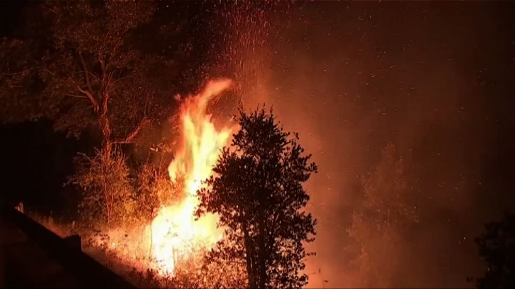 葡萄牙中部山火增至64死　火勢漸受控