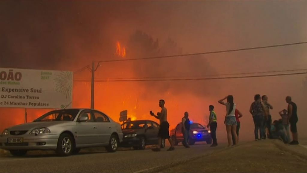 葡萄牙中部山火或因雷電擊中樹木引起