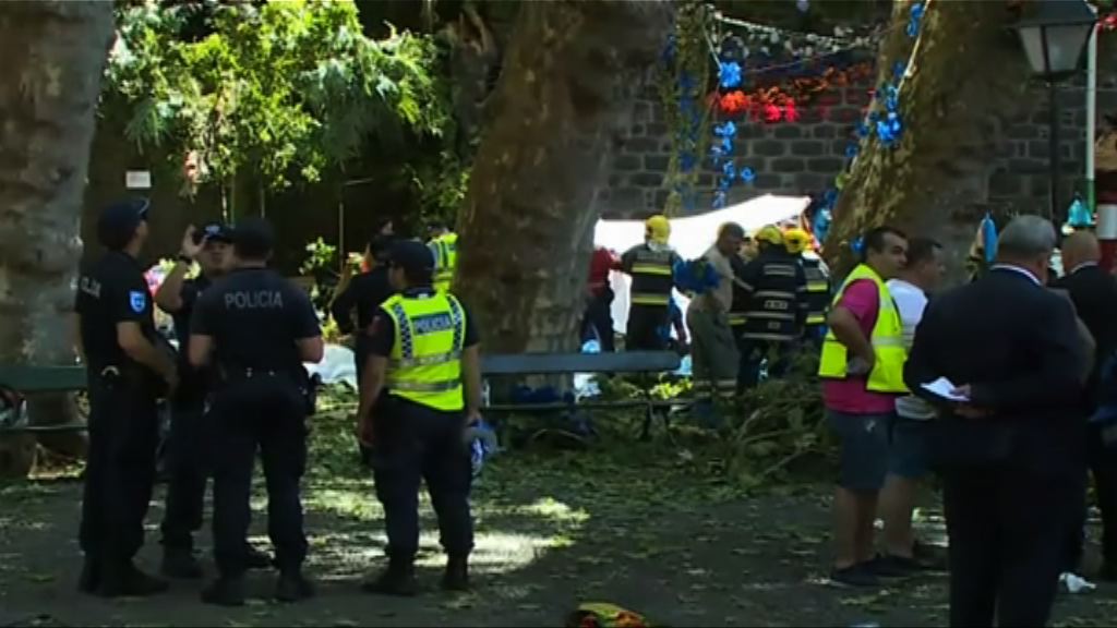 葡萄牙有百年大樹倒塌至少13死