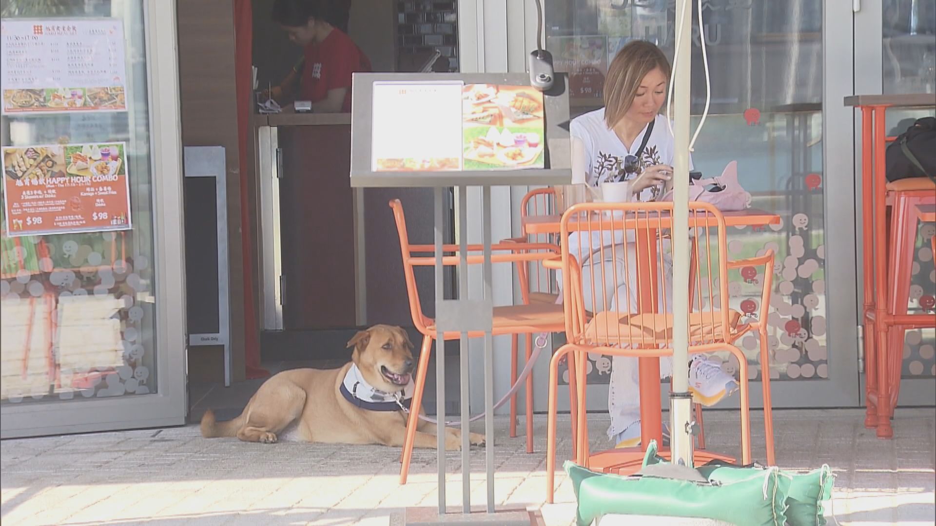 謝展寰冀狗隻友善食肆帶動經濟　會保障食物安全