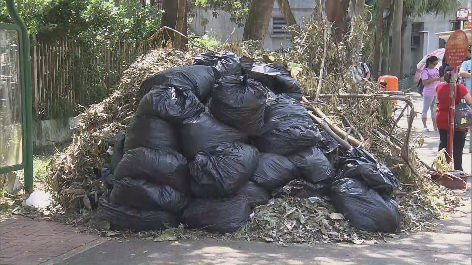 風暴後垃圾量大增　籲市民分開清理