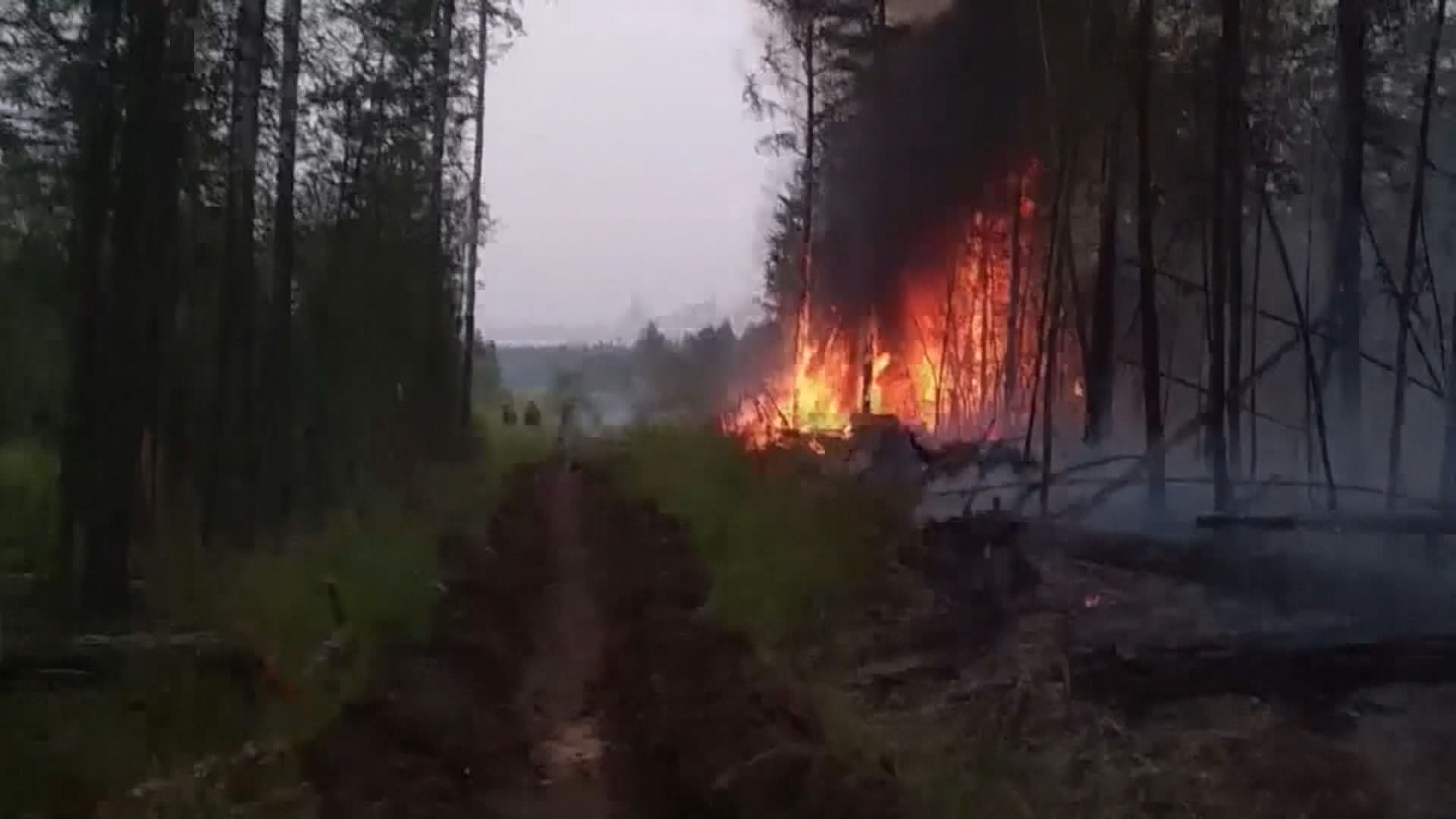 俄羅斯西伯利亞山火持續四百居民撤離