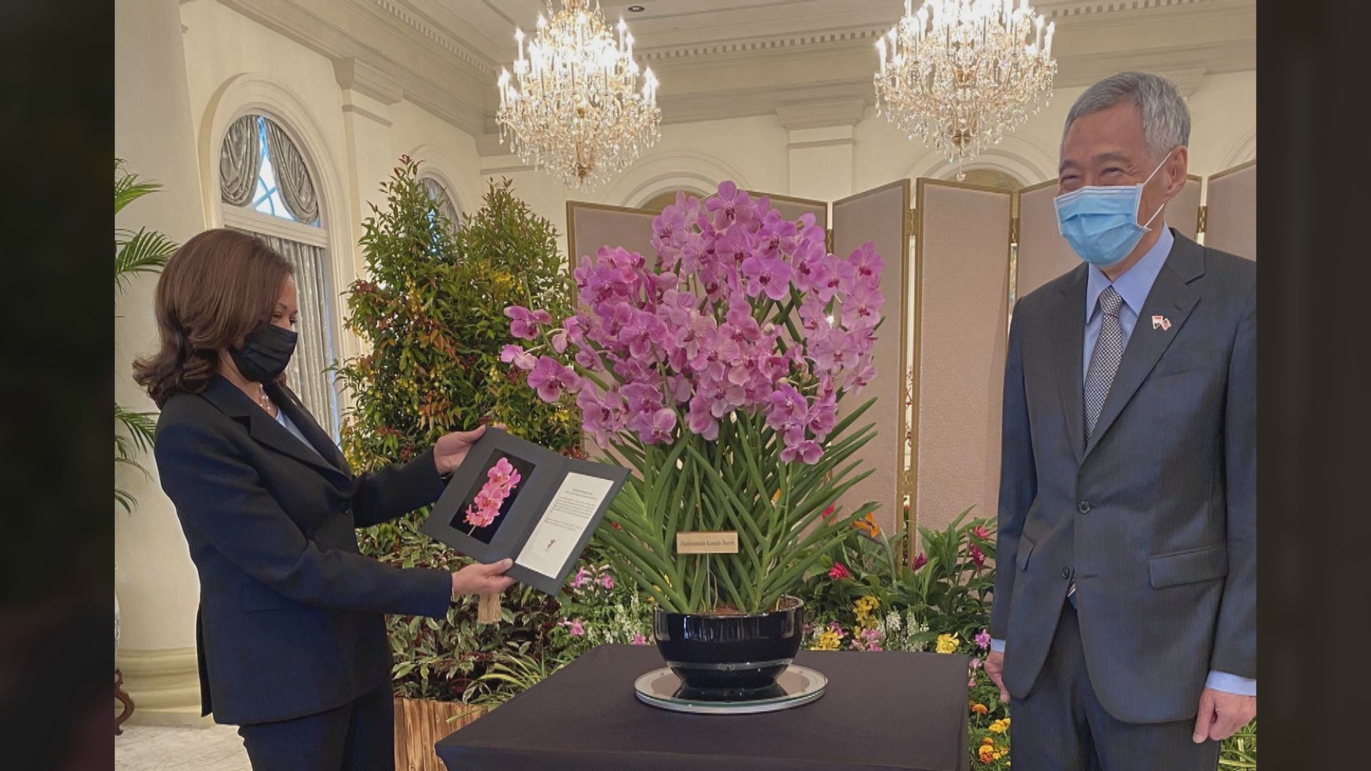 美國副總統賀錦麗會晤新加坡總理李顯龍