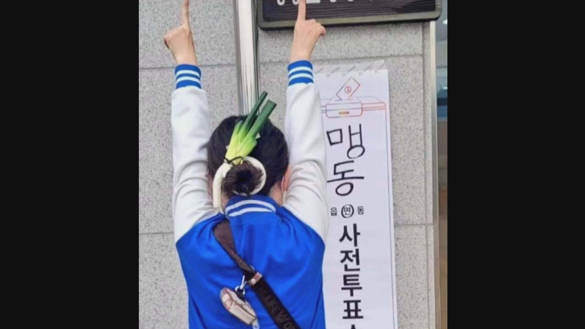 南韓國會選舉 選民帶京蔥到票站諷尹錫悅政府 當局下「禁蔥令」