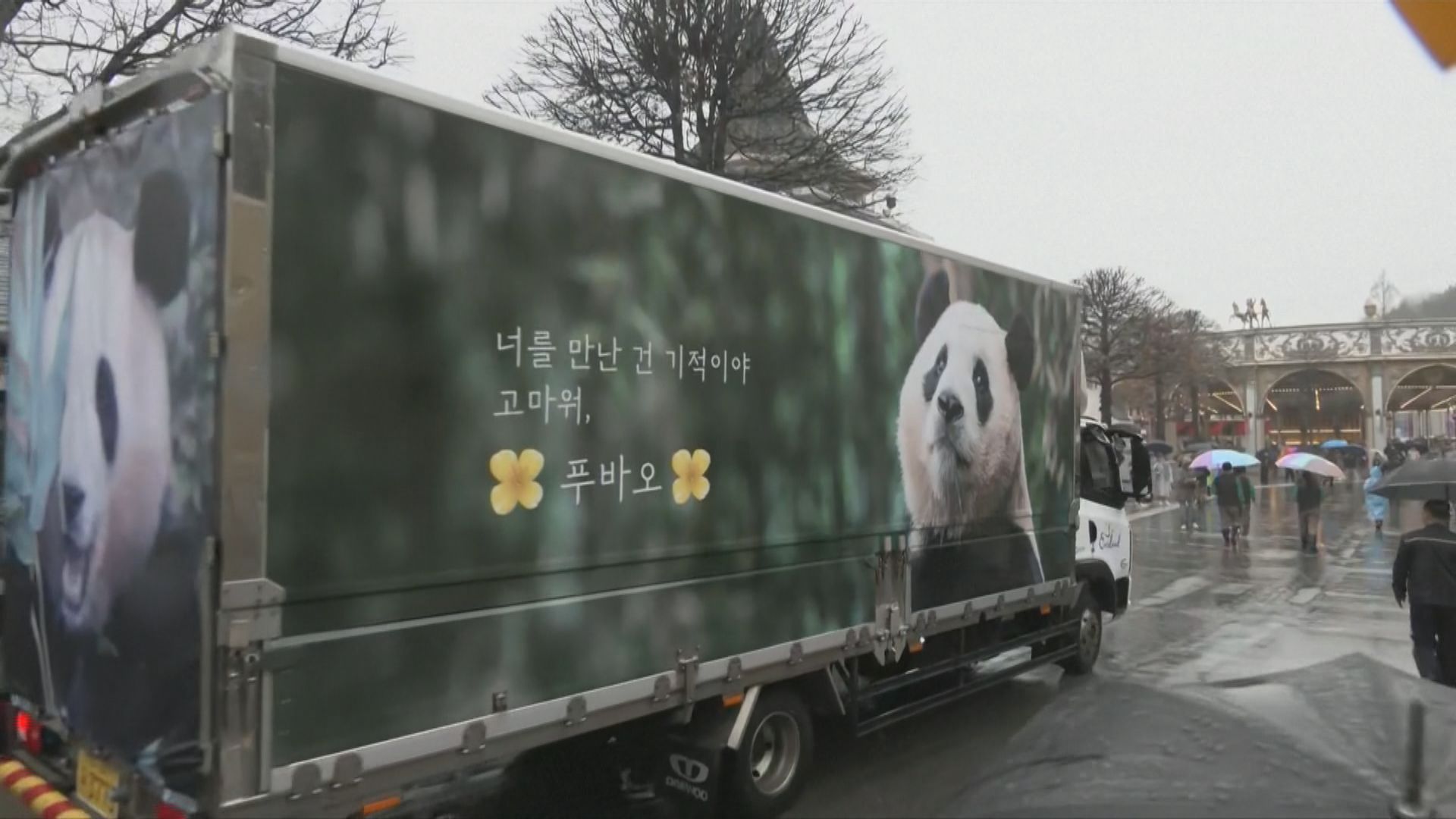 大熊貓福寶由南韓送返中國