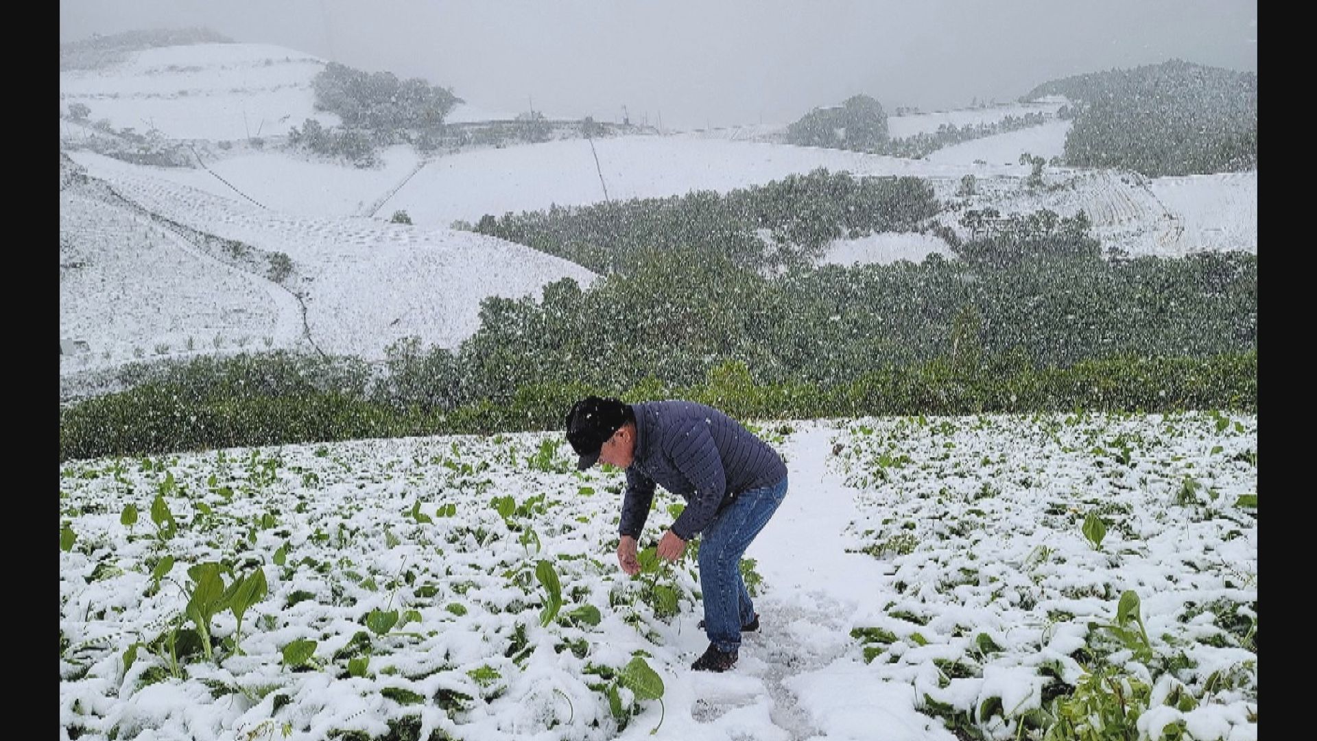 南韓江原道山區發布大雪預警 28年來首次