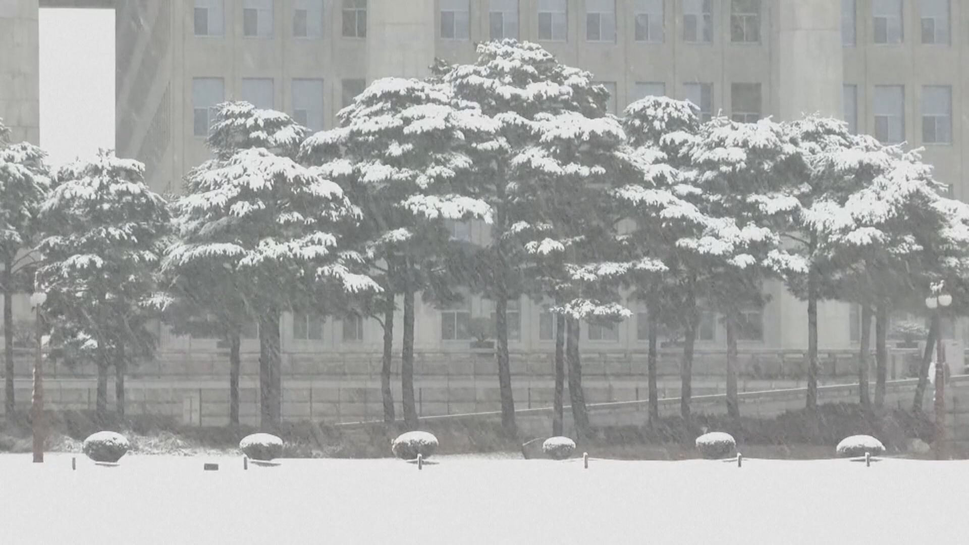 南韓首爾積雪破逾百年來11月紀錄　陸空交通受影響