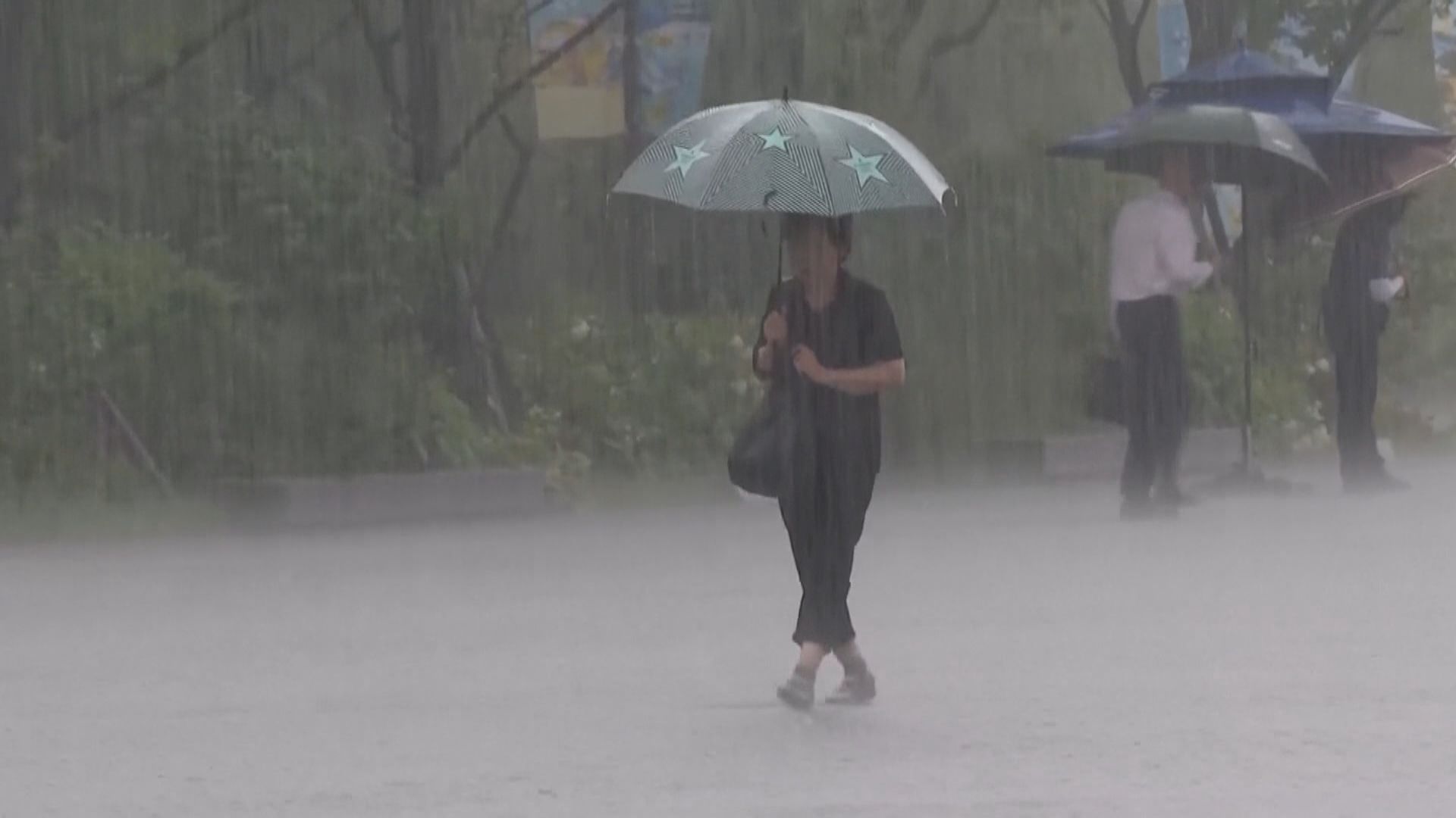 南韓暴雨 預計至少維持到周五