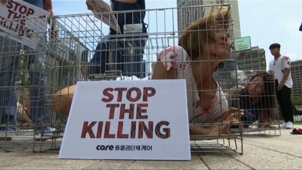 南韓動物權益人士抗議食狗肉文化