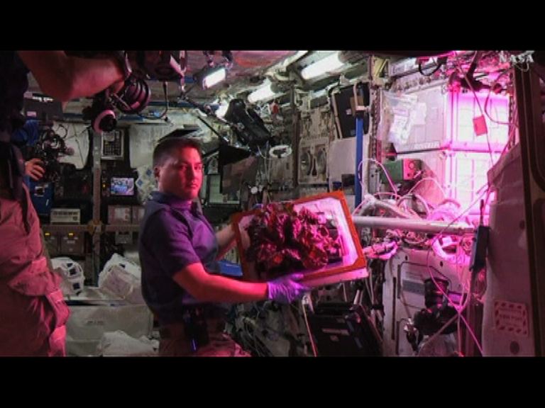 太空人品嚐自家種太空生菜