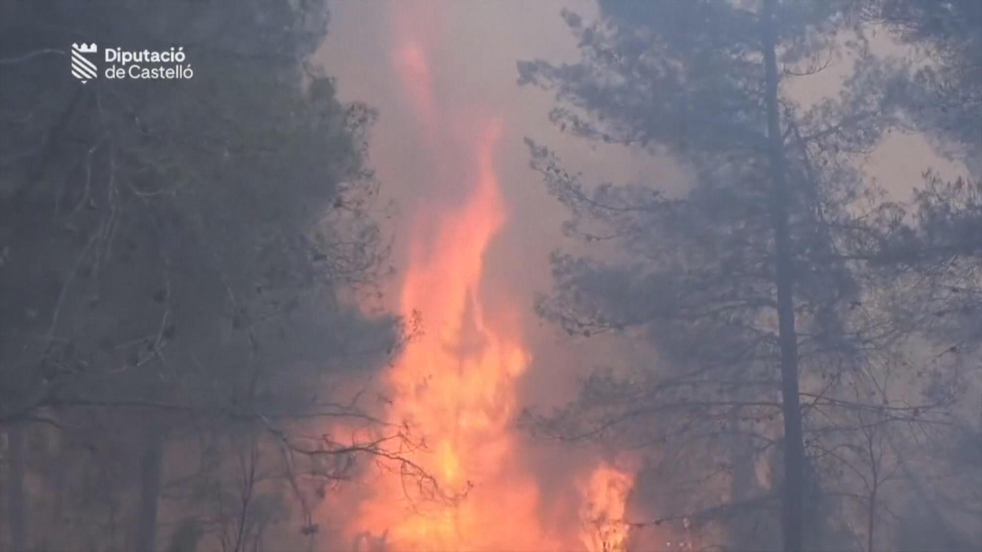 西班牙山火逾4000公頃林木焚毀