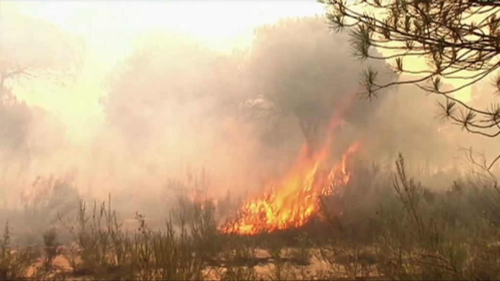 西班牙山林大火逾千居民疏散