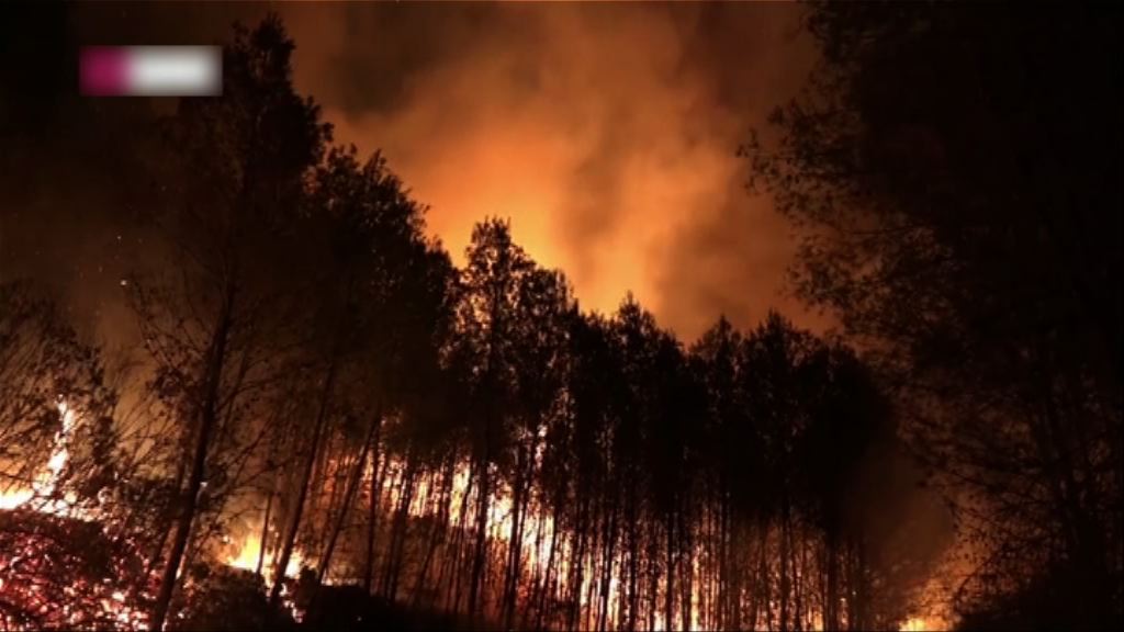 西班牙東部山林大火燒千頃林木