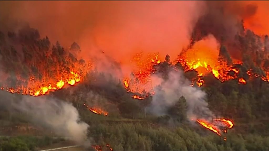 葡萄牙及西班牙山火至少40死