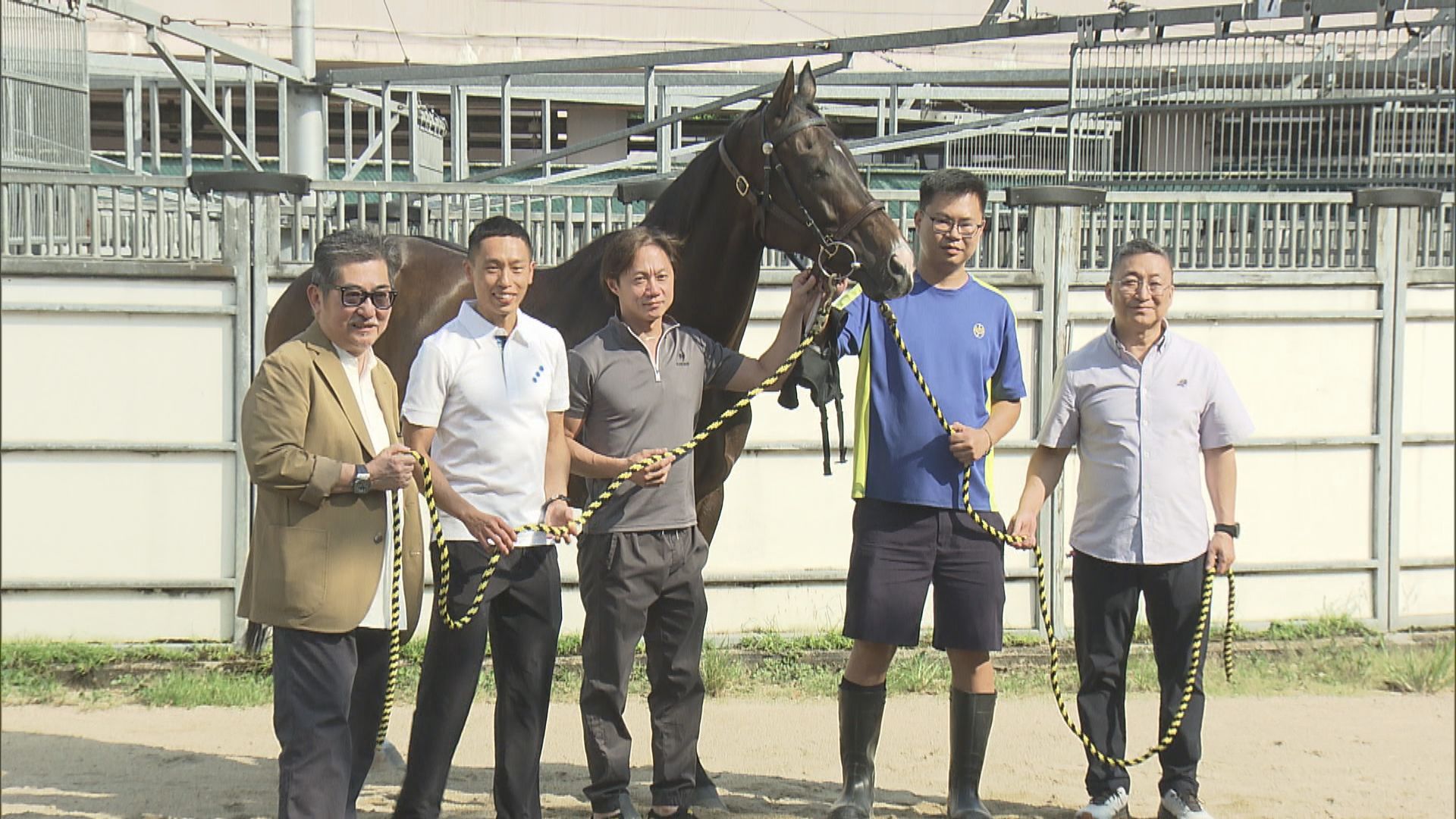 三屆香港馬王「金鎗六十」退役