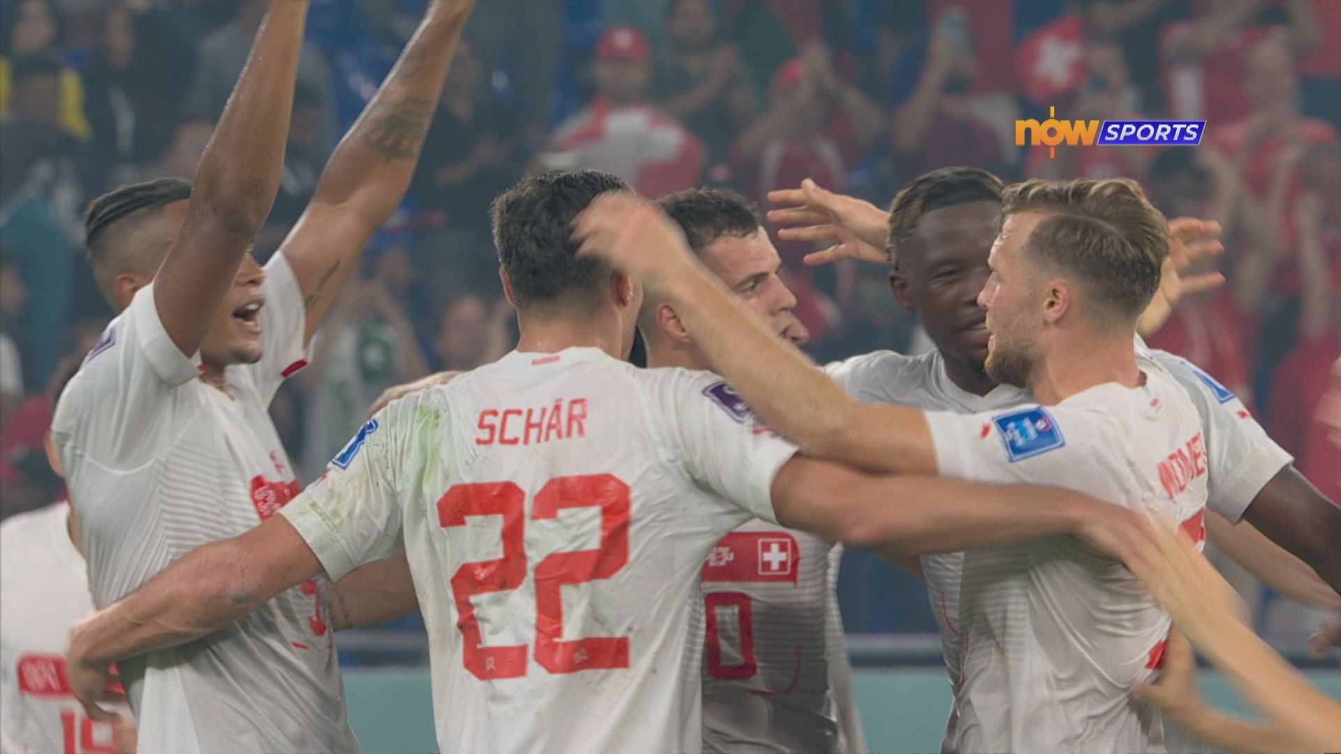 世界盃G組　塞爾維亞2：3瑞士