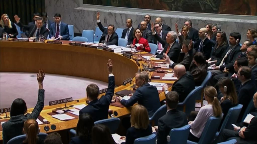 聯合國通過決議要求敘利亞各方停火