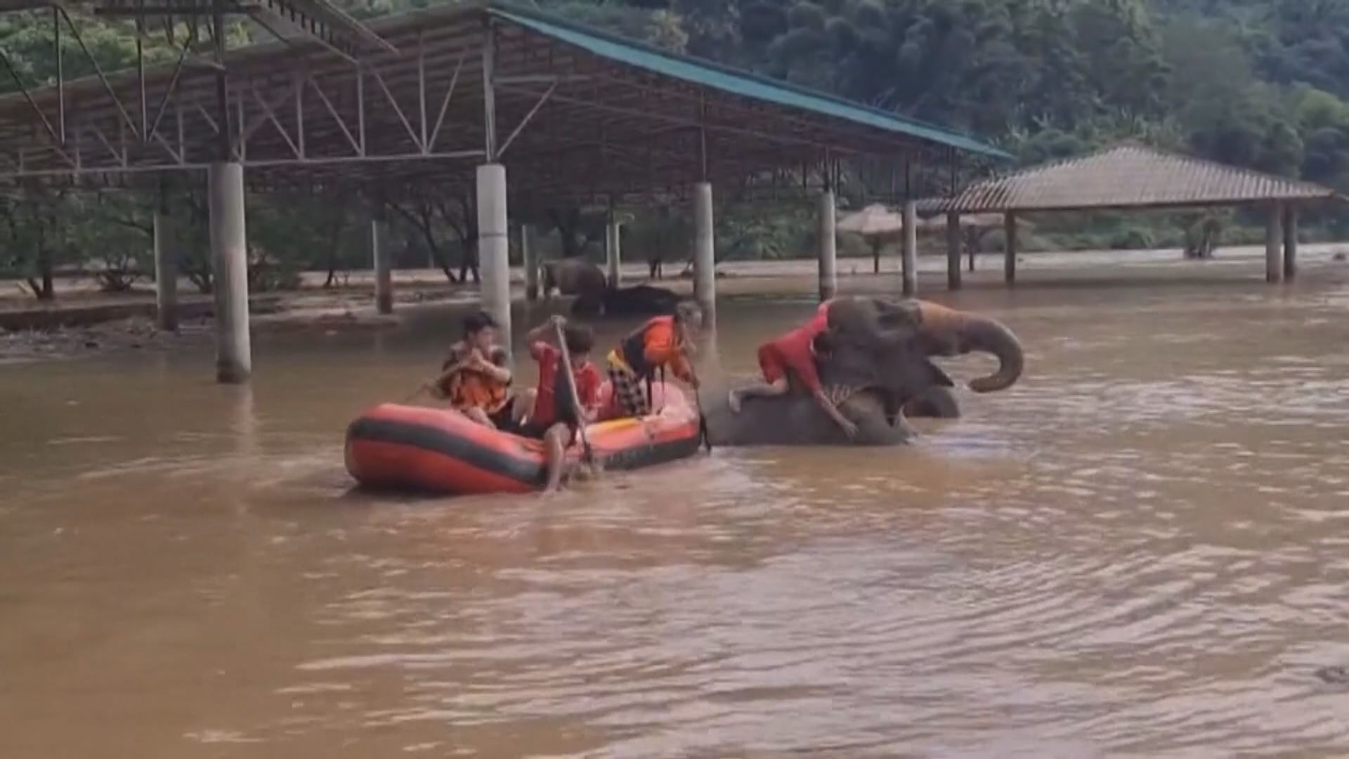 泰國暴雨成災　北部清邁街道水浸