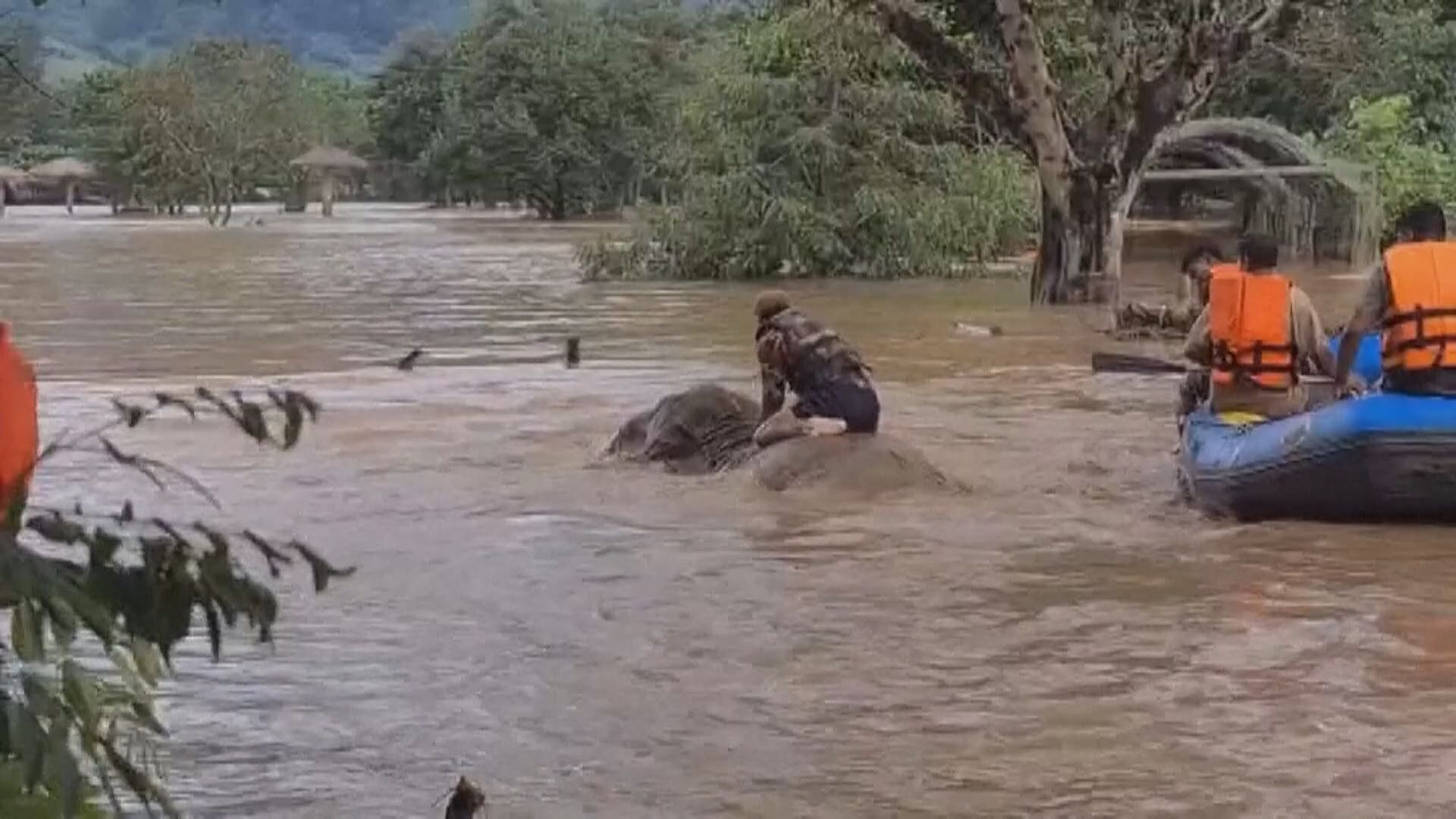 泰國北部暴雨成災　清邁街道水浸