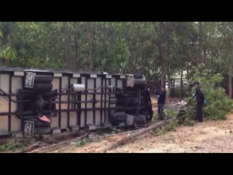 泰國動物園車禍五死多傷