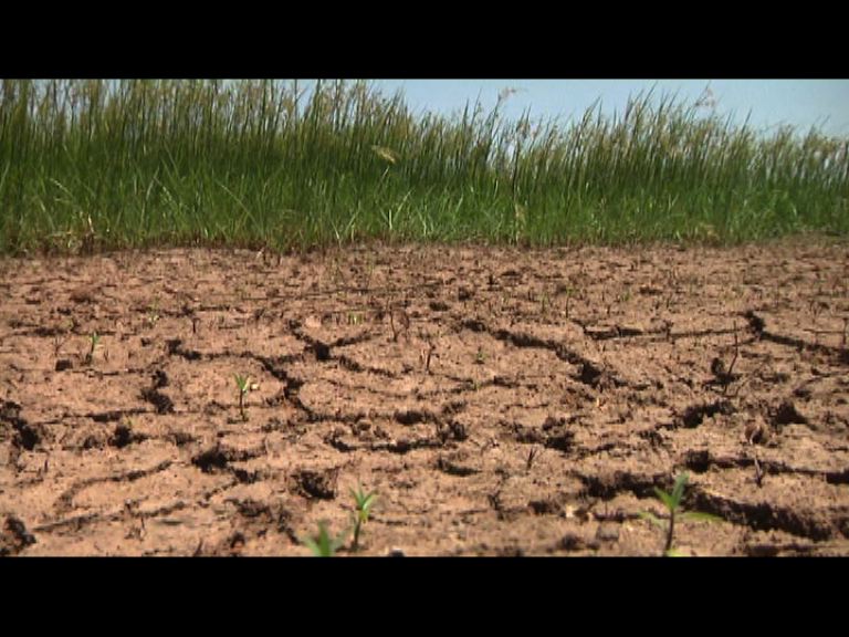 泰國遭遇50年來最嚴重旱災
