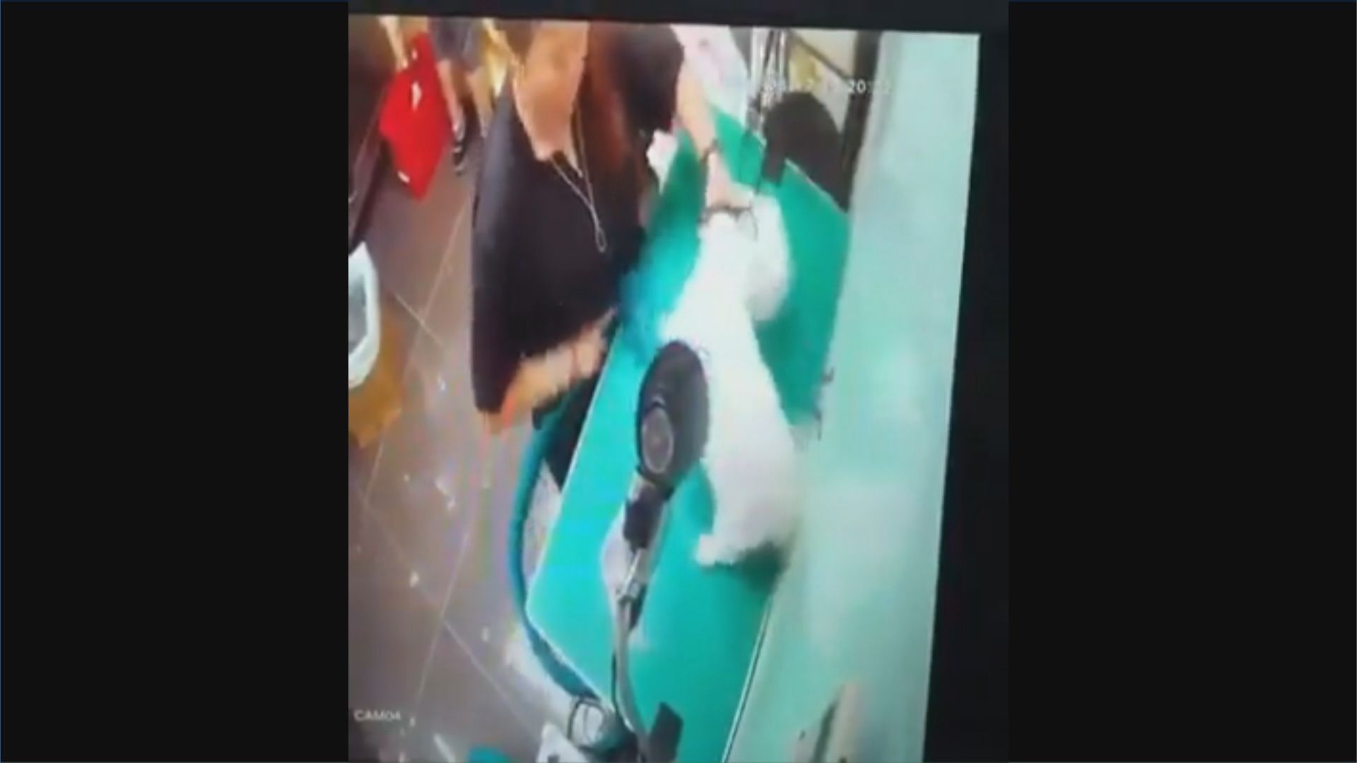 警方調查大埔一寵物店疑有人虐狗