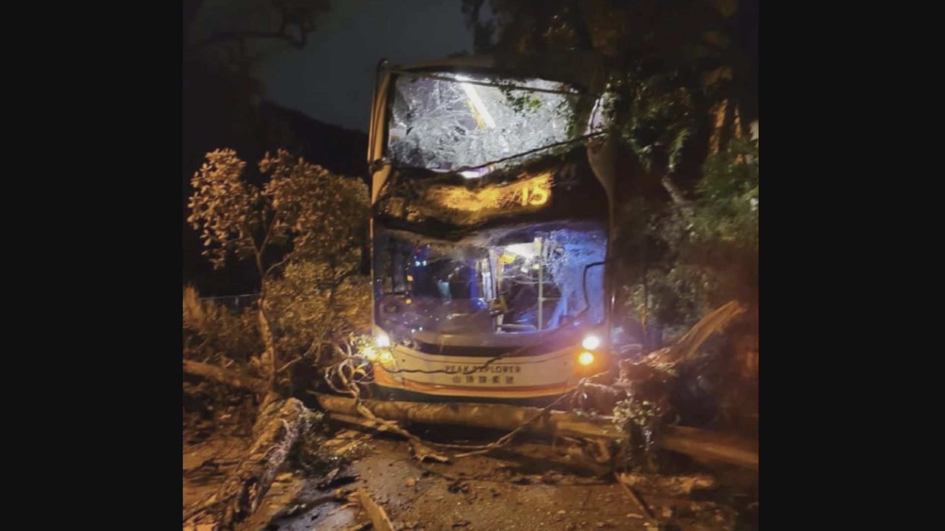 山頂塌樹砸中巴士　七人受傷