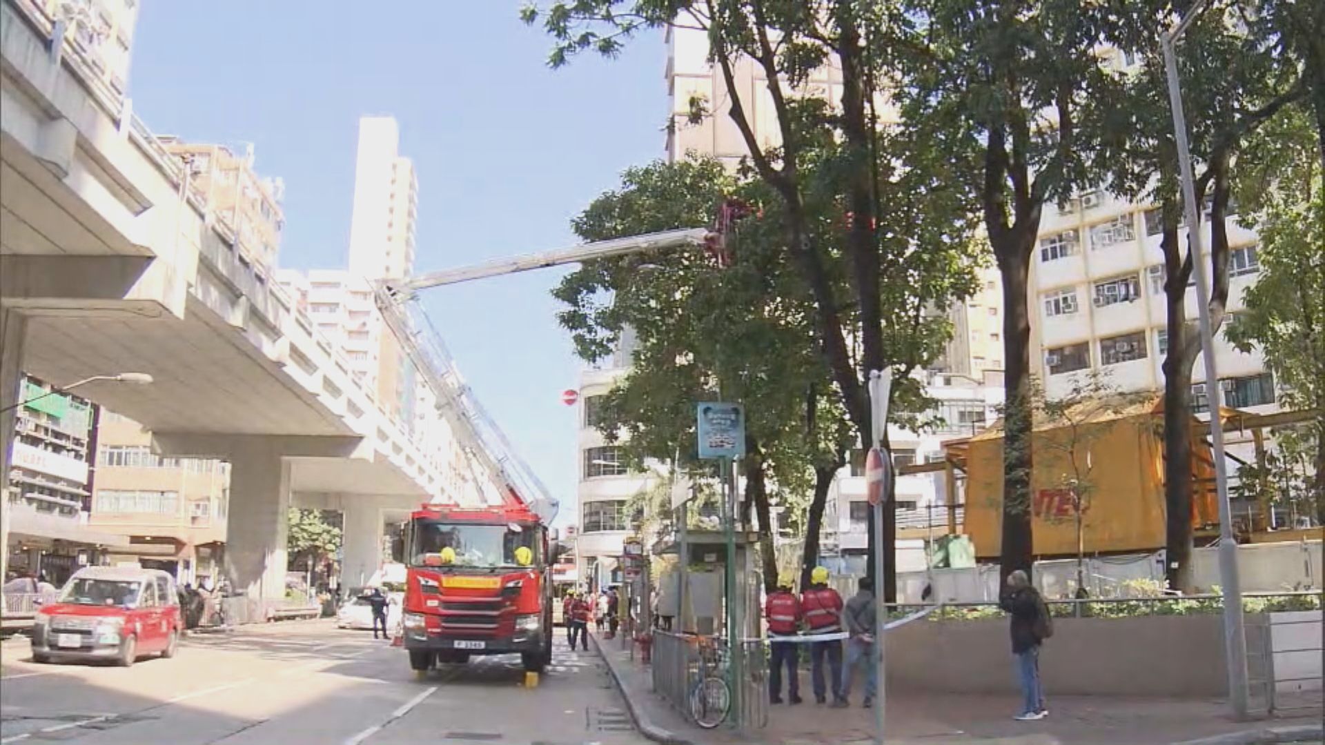 旺角太子道西樹枝墮下砸傷過路老婦