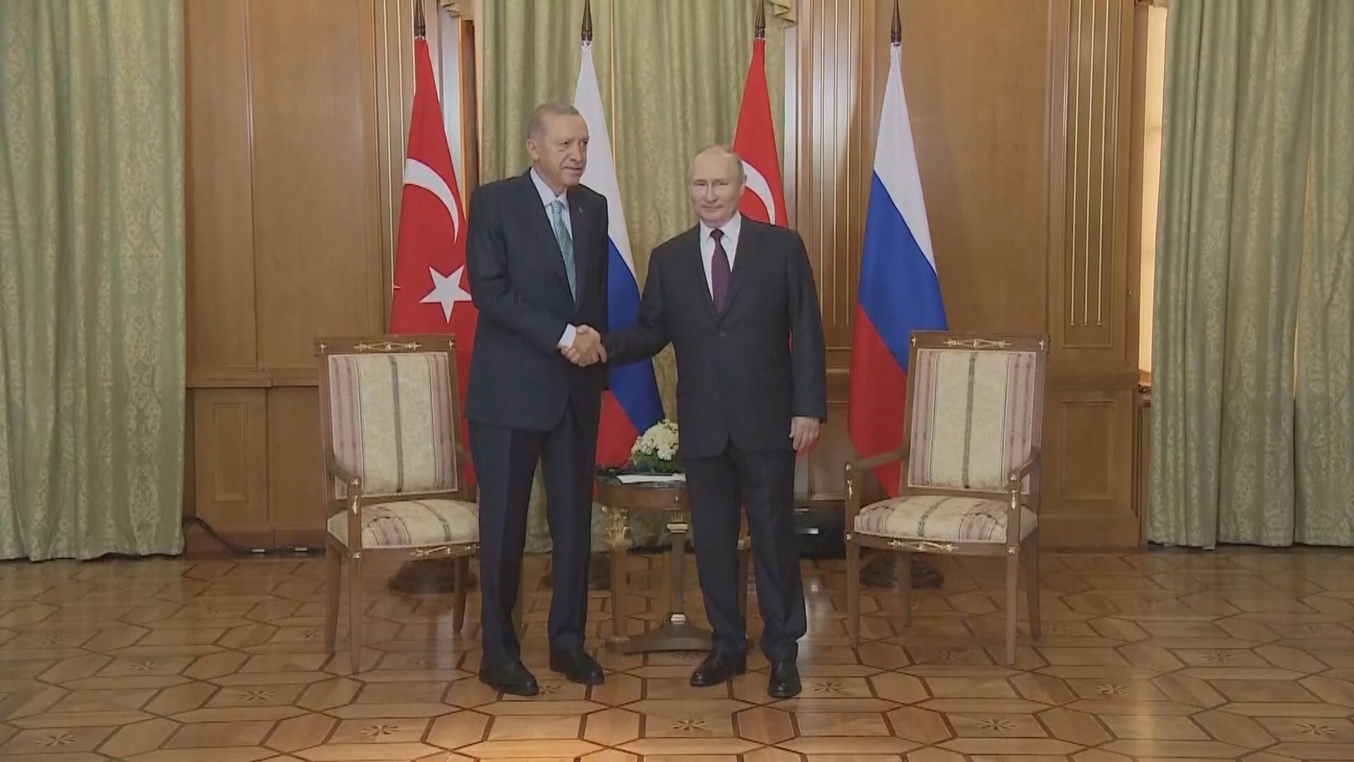 土耳其和俄羅斯總統會談商討黑海糧食出口協議