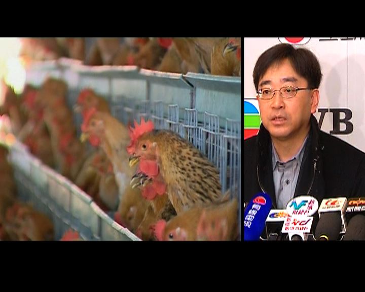 
高永文冀周內恢復少量活雞供應