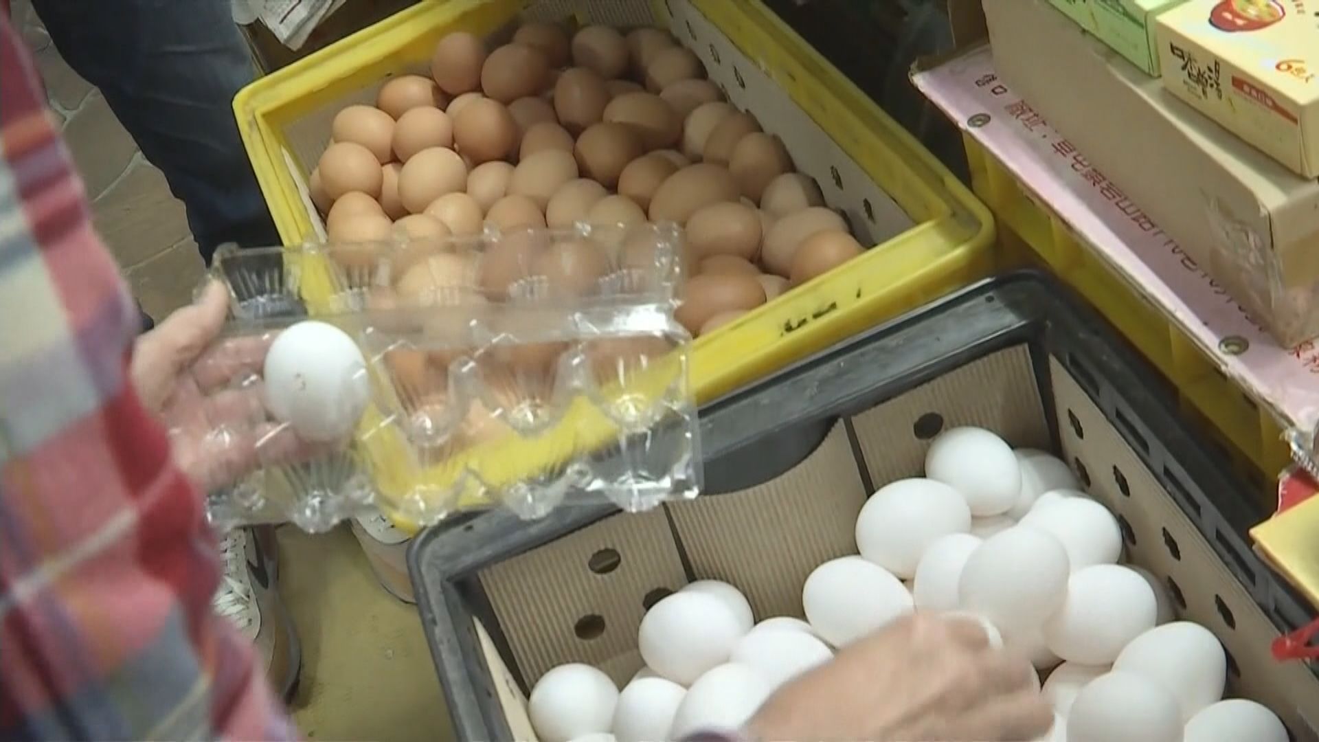 台灣為緩解「蛋荒」　本月首次從新加坡進口雞蛋