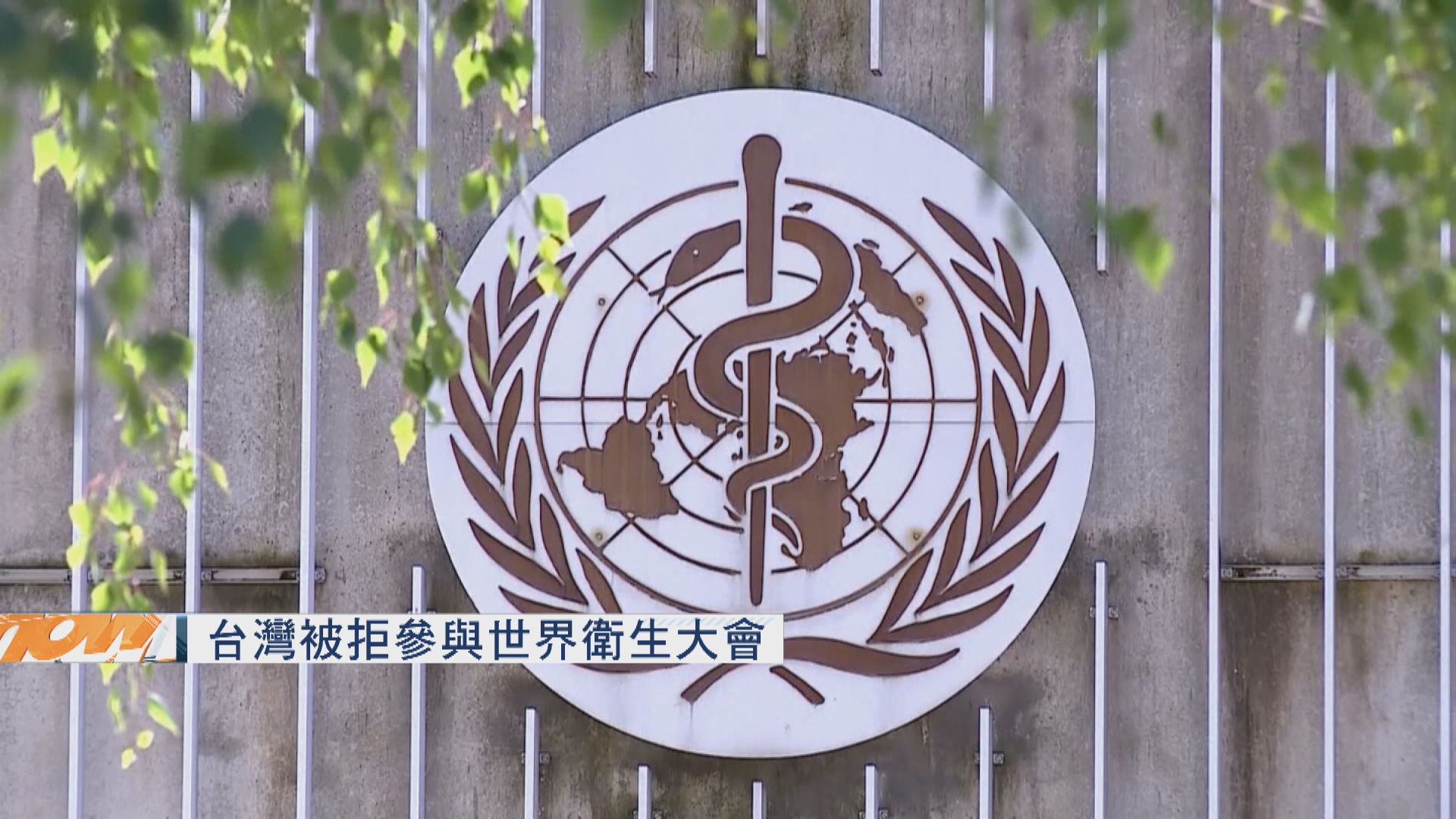 台指北京干預下被拒參與世界衛生大會